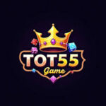 TOT 55 Game